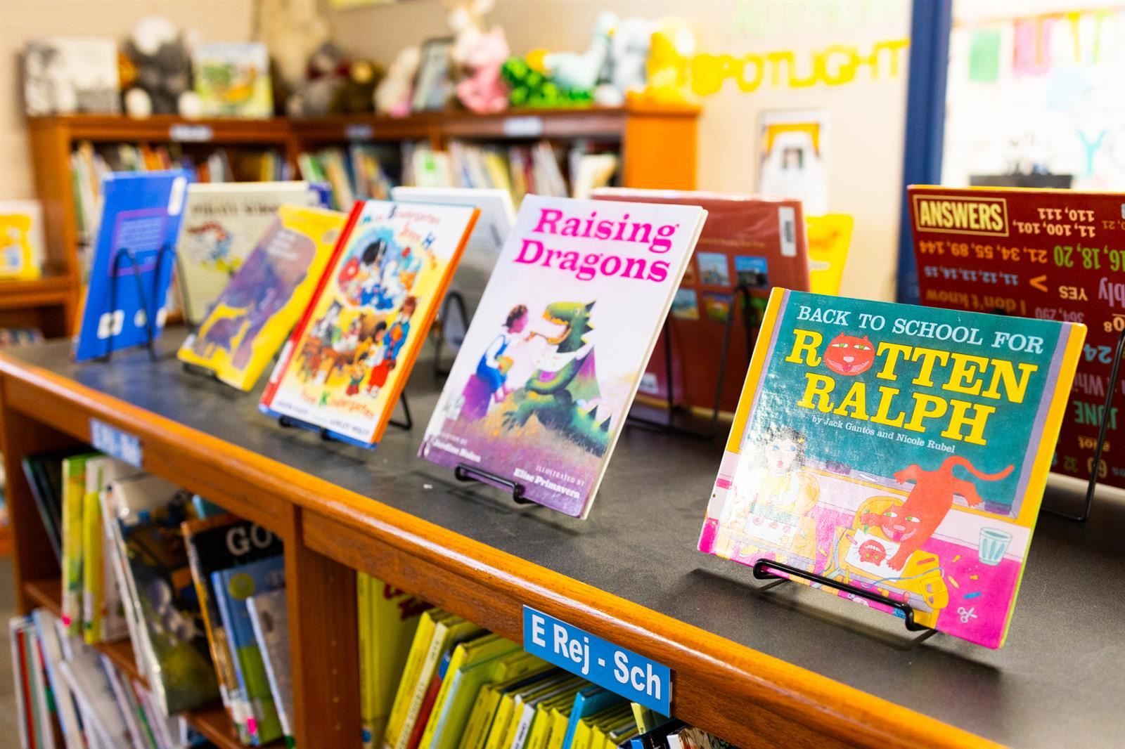Books on a shelf in the library